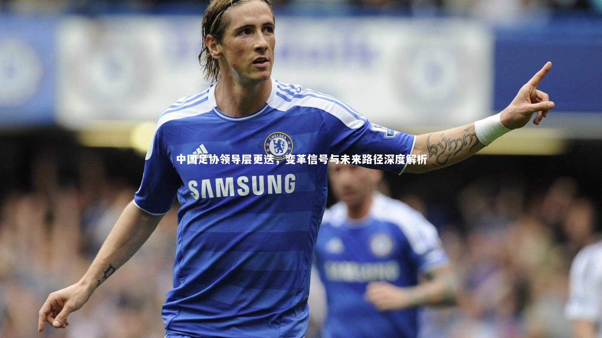 中国足协领导层更迭，变革信号与未来路径深度解析